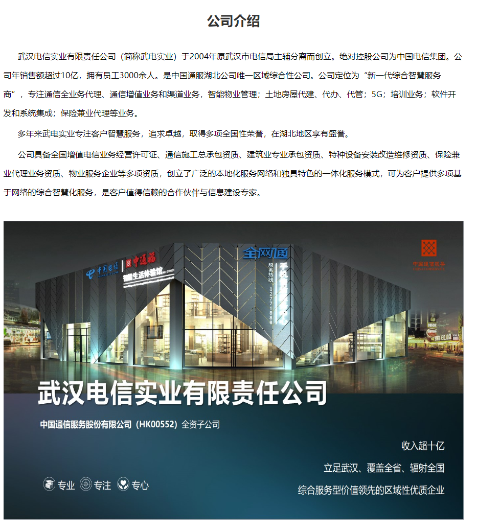 武汉电信实业有限责任公司.png